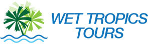 wtt logo 2