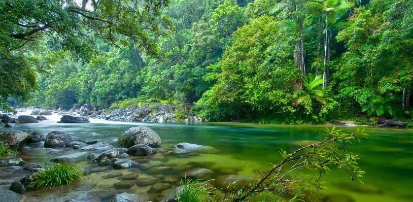Tour to Mossman Gorge & Daintree River mossman gorge